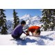 Eine Person in einem lila Shirt kniet im Schnee und füttert einen Hund in einer orangefarbenen Jacke, mit schneebedeckten Bergen im Hintergrund.