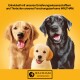 Zwei glückliche Hunde, ein Golden Retriever und ein schwarzer Labrador, lächeln vor einem gelben Hintergrund mit dem Waltham-Logo und deutschem Text zur Ernährung.