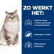 Een pluizige lichtgekleurde kat met blauwe ogen zit tegen een witte achtergrond naast een blauw paneel met gezondheidsvoordelen.