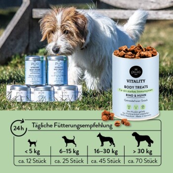 Ein kleiner Hund schnüffelt um einen Stapel von Dosen mit Haustierleckereien, die mit "Vitality Body Treats" und "Vitality Skin Treats" beschriftet sind, mit Fütterungsempfehlungen darunter.