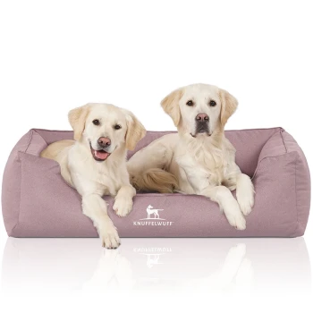 Orthopädisches Wasserabweisendes Hundebett Leon aus Velours mit Handwebcharakter hellrosa XL Zwei Golden-Retriever-Welpen, die zusammen auf einem weichen, rosa Hundebett liegen, mit dem Logo "KNUFFELWUFF" sichtbar auf der Vorderseite.