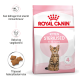 Sucha karma Royal Canin Kitten Sterilised dla kociąt w wieku 6-12 miesięcy, z bengalskim kociakiem na opakowaniu i wymienionymi kluczowymi korzyściami.