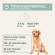 Ein Golden Retriever neben einer Fütterungstabelle mit Dosierungsanweisungen und Tipps zum Mischen von Futter oder Leckerlis.