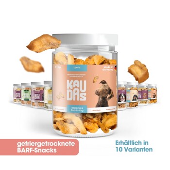Ein Glas mit gefriergetrockneten Lachs-Hundeleckerlis von KAUDAS mit einem Hundebild, umgeben von anderen Leckerlibehältern und Text auf Deutsch.