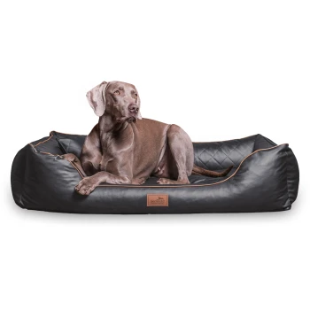 LOUIS - Orthopädisches Hundebett aus gestepptem Kunstleder schwarz/ graphit 80 cm, 22 cm, 60 cm Ein brauner Hund, der auf einem stilvollen schwarzen Hundebett mit gestepptem Design und braunen Akzenten entspannt, mit einem Holzschild, auf dem "tierlindo" steht.