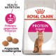 Protein Exigent 10 kg