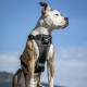 Tru-Fit Smart Hundegeschirr M