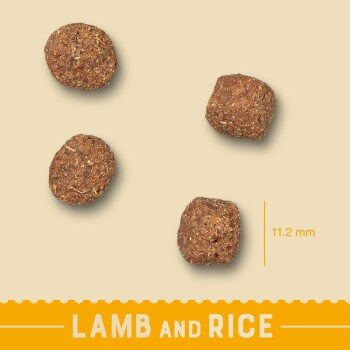 Four pieces of dry pet food kibble labeled "Lamb and Rice," measuring 11.2 mm, set against a light beige background.