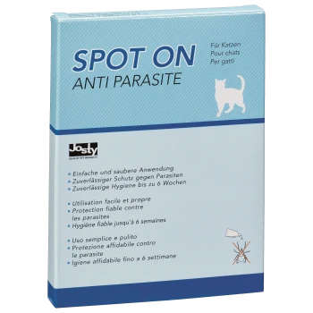 Spot On Anti-Parasiten-Behandlung für Katzen, mit mehrsprachigen Anweisungen und Ansprüchen auf zuverlässigen Schutz für bis zu 6 Wochen.