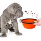 Ein grauer Welpe sitzt neben einer zusammenklappbaren orangefarbenen Futterschüssel, die von einer Hand gehalten wird, mit spielerischen Spritzern, die darum herum illustriert sind.