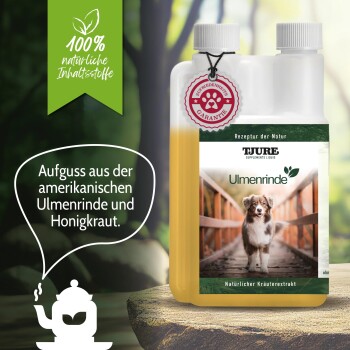 Ulmenrinde Liquid 500 ml