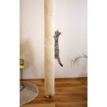 Een speelse grijze tabby kat klimt op een hoge, beige krabpaal in een gezellige kamer met houten vloeren en een kleine plant in de buurt.