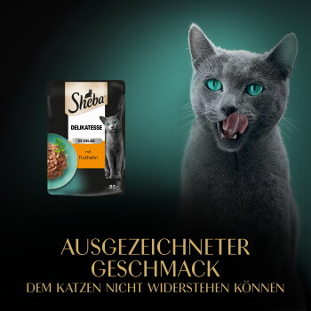 Sheba-Beutel (Delikatesse in Gelee, mit Truthahn, 85 g) links von einer grauen Katze, die sich die Lippen leckt; Text: „Ausgezeichneter Geschmack“.