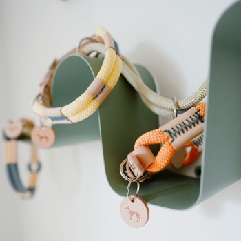 Bunte Hundehalsbänder und Leinen, die an einem grünen Wandregal ausgestellt sind, mit einem runden Anhänger mit einem Hundesilhouette.