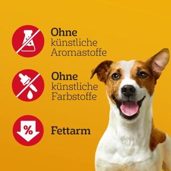 Ein glücklicher braun-weißer Hund auf einem gelben Hintergrund mit dem Text: "Ohne künstliche Aromastoffe," "Ohne künstliche Farbstoffe," "Fettarm."