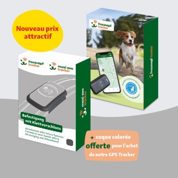 Traceur GPS pour chien gris/noir