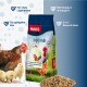 Ein Haufen gemischter Vogelfutter mit verschiedenen Samen, Körnern und Pellets, vor einem weißen Hintergrund.