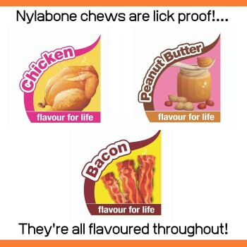 Bild zeigt drei Nylabone Kauknochen-Geschmäcker: Huhn, Erdnussbutter und Speck, beschriftet mit "flavour for life" und Text über Lick-proof.