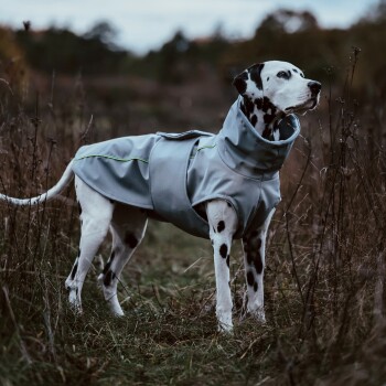 Hundemantel Winter Grau S