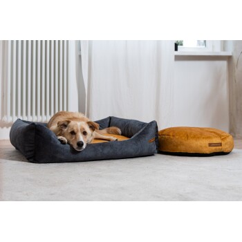 Ein gemütliches Hundebett in Dunkelgrau mit einem goldbraunen runden Kissen daneben, auf einem hellen Teppichboden.