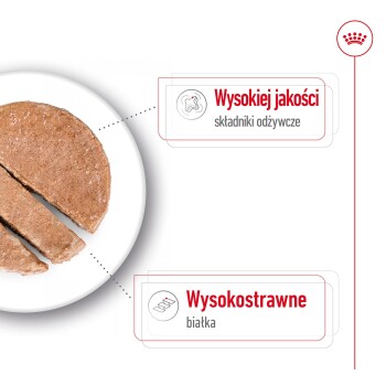 Karma dla zwierząt na białym talerzu, pokrojona w plastry, z tekstem podkreślającym "Wysokiej jakości składniki odżywcze" i "Wysokostrawne białka."