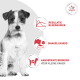 Kleine wit‑bruine hond links; rode pictogrammen en tekst: REGULATIE BLOEDSUIKER, SMAKELIJKHEID, AANGEPASTE BROKKEN VOOR KLEINE KAKEN.