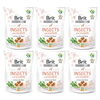 Sechs Tüten Brit Crunchy Snack für Hunde, mit "Insekten mit Lachs" angereichert mit Thymian, fördert die Verdauung.