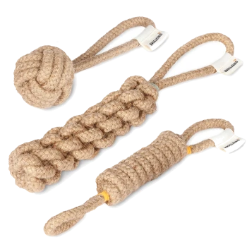 Drei natürliche Seil-Hundespielzeuge: ein geknoteter Ball, ein geflochtener Zug und ein dicker Seil mit Griff, alle in beige.