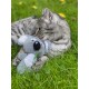 Eine graue getigerte Katze kuschelt mit einem plüschigen Koala-Spielzeug auf grünem Gras und zeigt ihr verspieltes Wesen und weiches Fell.