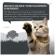 Eine neugierige Katze mit erhobener Pfote vor einer Sprechblase, die hervorhebt, dass 98% des Futters Fleisch enthalten, um Füllstoffe zu vermeiden.