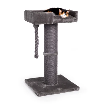 Kratzbaum Watson grau Ein grauer Katzenbaum mit einer plüschigen oberen Liegefläche, auf der eine dreifarbige Katze schläft, mit einem Kratzseil an der Seite.