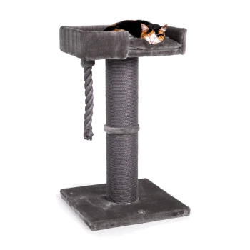 Ein grauer Katzenbaum mit einer plüschigen oberen Liegefläche, auf der eine dreifarbige Katze schläft, mit einem Kratzseil an der Seite.