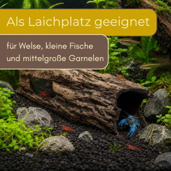 Aquarium mit hohlem Stamm, blauem Flusskrebs, roten Garnelen und kleinen Fischen zwischen Pflanzen und Steinen; Text: 'Als Laichplatz geeignet'.