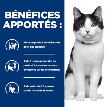 Chat noir et blanc avec collier bleu à côté d'un panneau bleu marine indiquant «BÉNÉFICES APPORTÉS :» et énumérant les avantages pour la perte de poids (88 %)