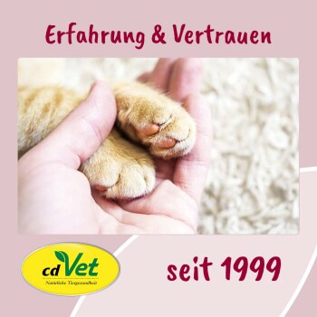 Eine Nahaufnahme einer Hand, die sanft die Pfote einer orangefarbenen Katze hält, mit dem Text "Erfahrung & Vertrauen" und "seit 1999" darüber.