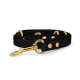 Schwarze Haustierleine mit goldenen Beschlägen und dekorativen Nieten, auf einem weißen Hintergrund aufgewickelt.