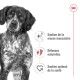 Medium Adulte Croquettes Chien 15+3 kg gratuite