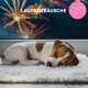 Un chiot dormant sur un tapis blanc moelleux, avec des feux d'artifice visibles en arrière-plan et le texte "LAUTE GERÄUSCHE" au-dessus.