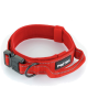 Rotes Haustierhalsband mit einer schwarzen Schnalle und D-Ring, mit einem "PetTec"-Logo und reflektierenden Nähten für Sichtbarkeit.