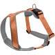 Geschirr Neopren schwarz/ orange L