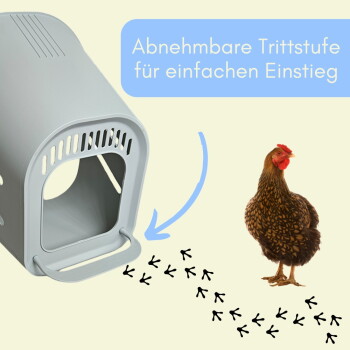 Graue Hühner-Nistbox mit abnehmbarer Trittstufe, Fußspuren und brauner Henne. Text: 'Abnehmbare Trittstufe für einfachen Einstieg'.