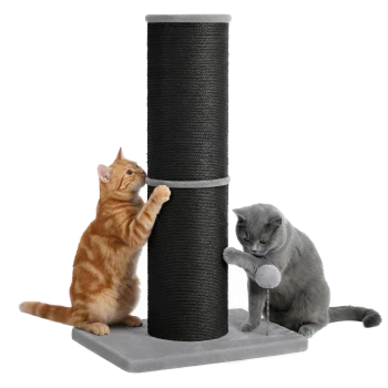 Zwei Kätzchen (orangegetigert und grau) benutzen einen hohen schwarzen Sisal-Kratzbaum mit grauem Sockel und hängendem Bommelspielzeug.