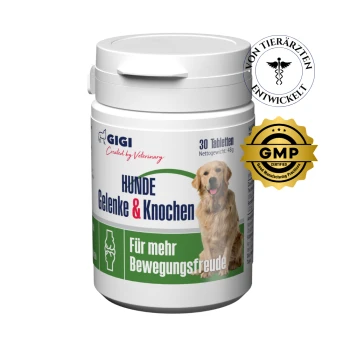 Behälter mit GIGI-Hundegelenktabletten mit einem Golden Retriever-Etikett, das "HUNDE Gelenke & Knochen" und "Für mehr Bewegungsfreude" liest.