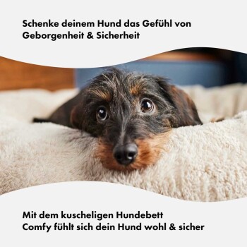 Eine Nahaufnahme eines Dackels, der auf einem gemütlichen Hundebett ruht, mit einem Text, der Komfort und Sicherheit für Haustiere auf Deutsch bewirbt.