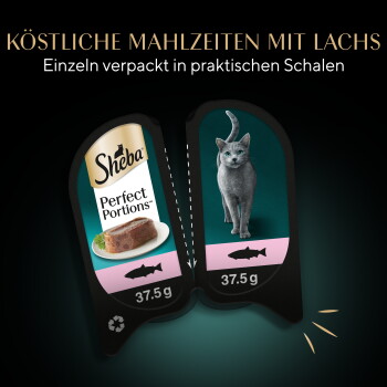Zwei Sheba Perfect Portions 37,5 g Lachs-Katzenfutterschalen, Sheba-Logo, Bild einer grauen Katze, deutscher Text 'Köstliche Mahlzeiten mit Lachs'.