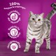 Eine silberne getigerte Katze auf Holz mit lila Hintergrund, die Gesundheitsvorteile hervorhebt: "100% komplett," "Harnwege," "Abwehrkräfte," "Herzgesundheit."
