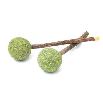 Zwei grüne, strukturierte Bälle aus gepresstem Gras oder Kräutern, die an dünnen, natürlichen Holzstäben befestigt sind, vor einem weißen Hintergrund.