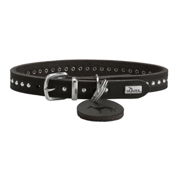 Schwarzes Lederhalsband für Hunde mit silbernen Nieten, mit einer Metall-Schnalle und einem Anhänger mit dem Markennamen "HUNTER."