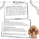 Grünlippmuschel Gelenktabs für Hunde & Katzen von TierPlus by EXVital, mit Inhaltsstoffen wie Glucosamin, MSM und Vitamin E.