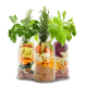 Eine Flasche SmoothieDog Immunio Immun Boost Snack für Hunde, umgeben von frischen Zutaten wie Apfel, Rübe, Kokosnuss und Fleisch.